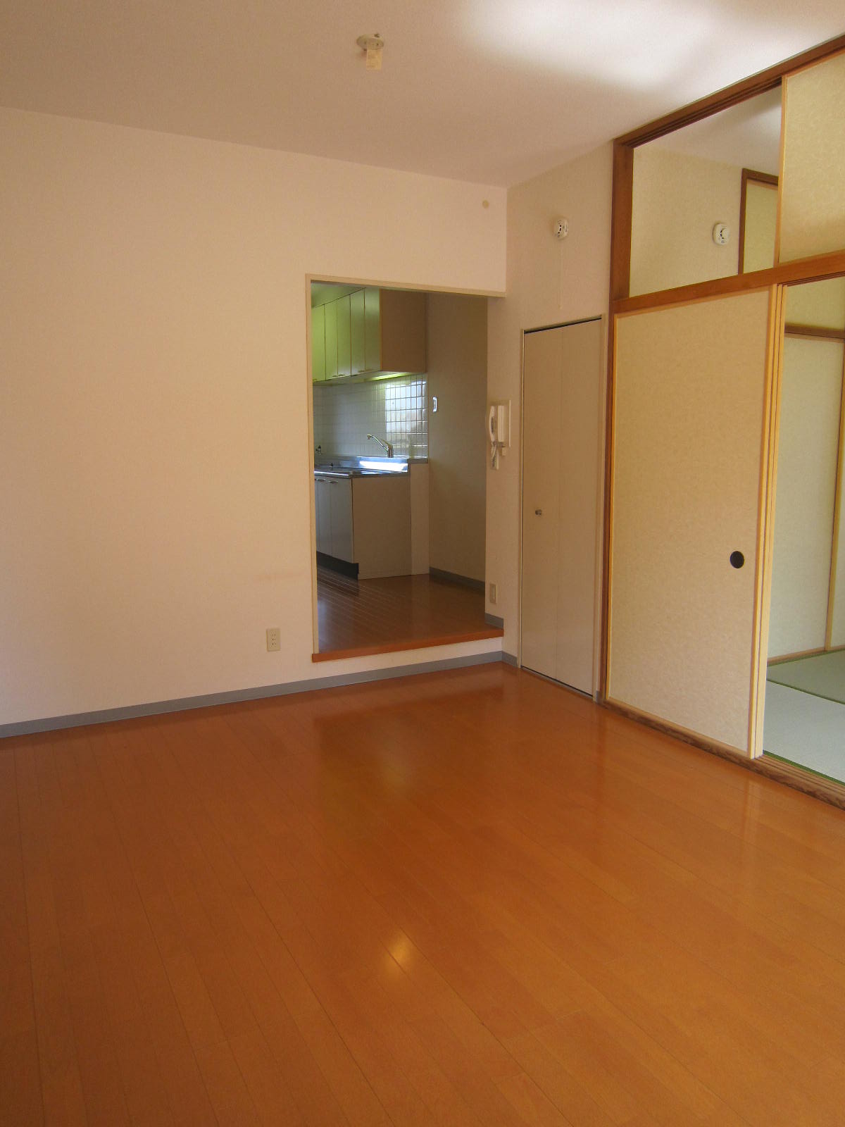 Living and room. Spacious living