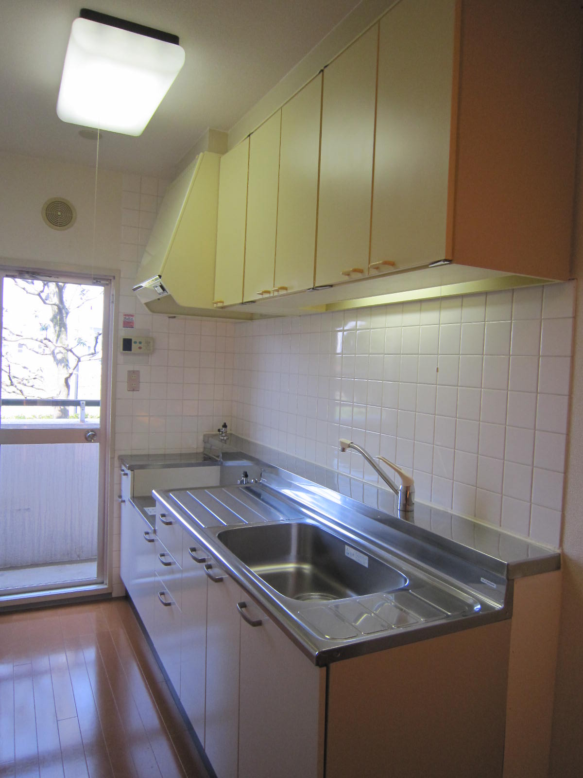 Kitchen. Stand-alone kitchen. Go out on the balcony, bright. 