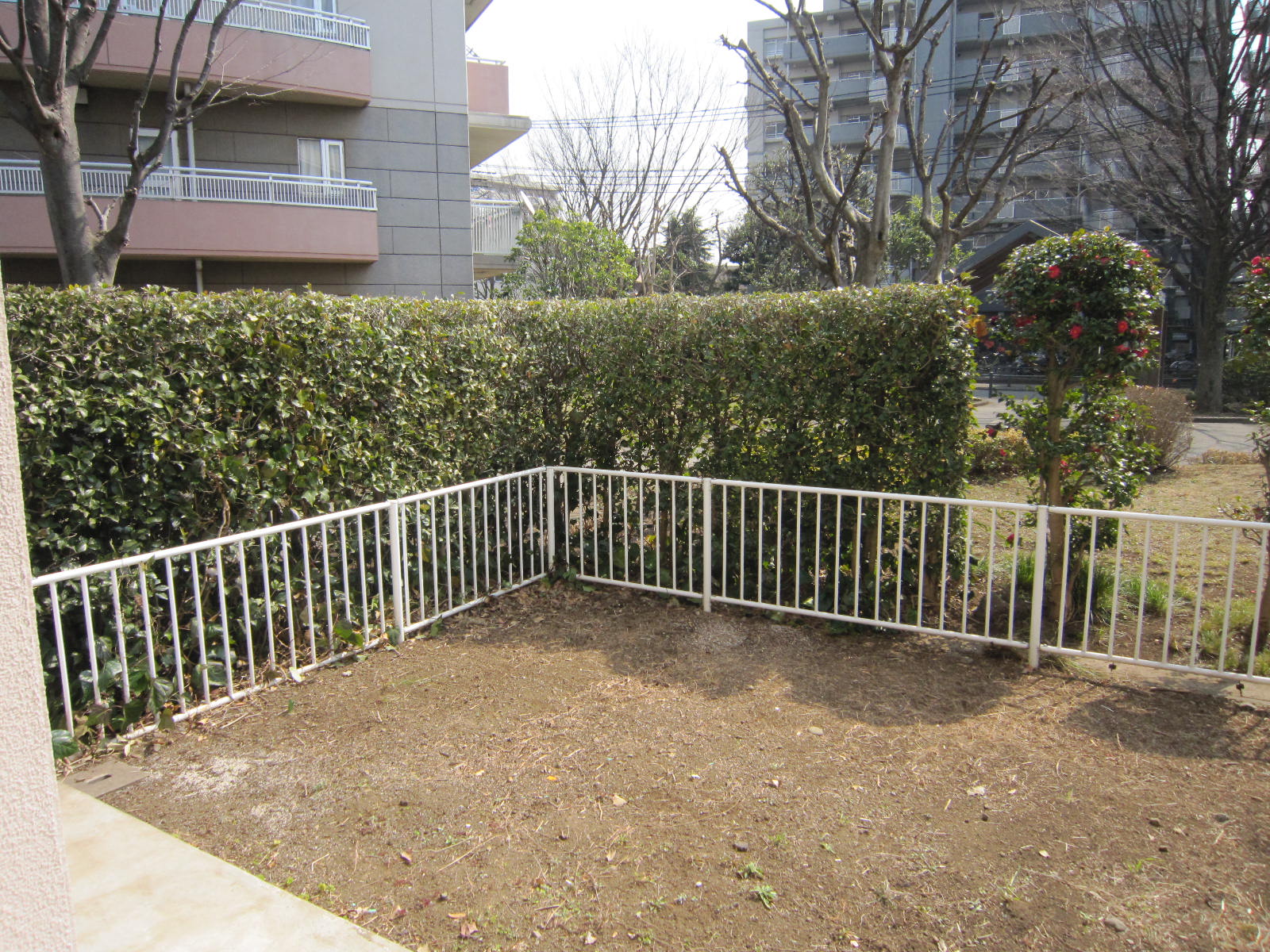 Garden. This garden. 