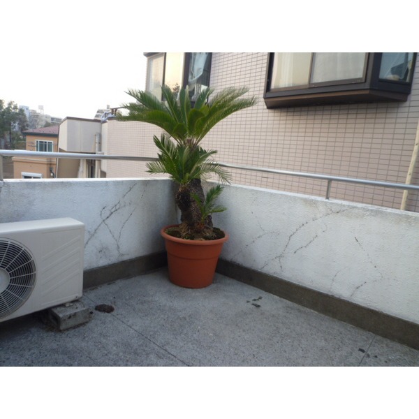 Balcony. Spacious spacious