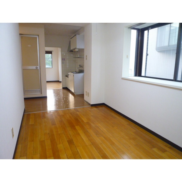 Living and room. Flooring of the room