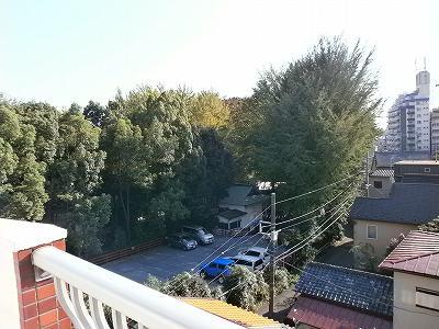 View photos from the dwelling unit