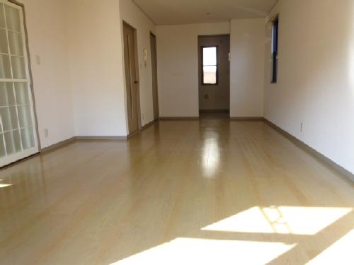 Living and room. Living