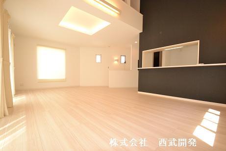 Living. Room (May 2013) Shooting