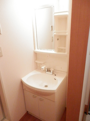 Washroom. Wash basin