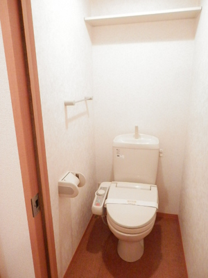 Toilet. Warm water washing toilet seat