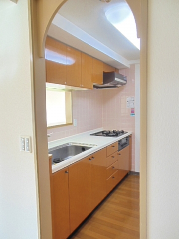 Kitchen. System kitchen