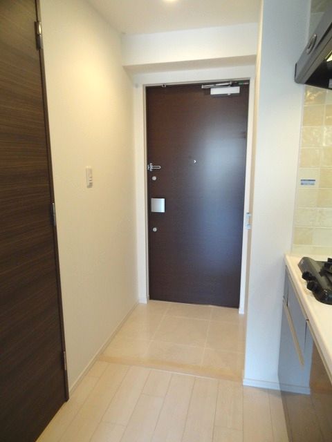 Entrance. There is no thing seen so beautiful entrance.