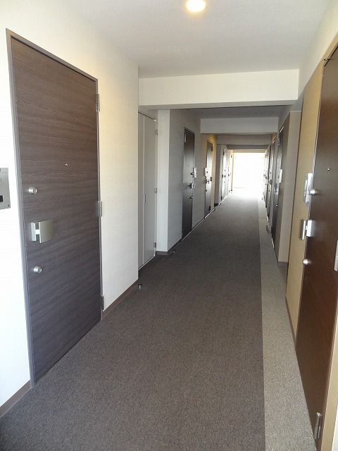 Other common areas. This shielding feeling also transmitted only in photos. Grade, the higher the proof.