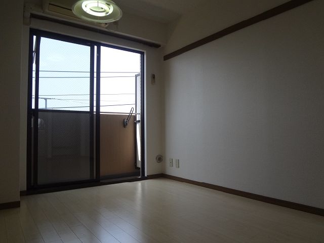 Living and room. Bright room