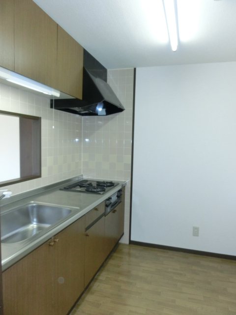 Kitchen. Spacious independent kitchen