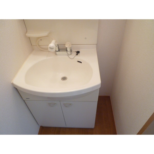 Washroom. Shampoo dresser