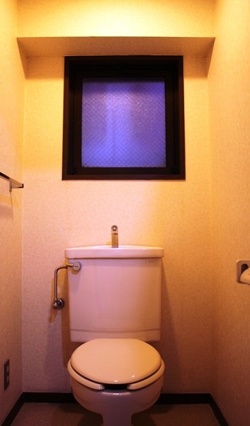 Toilet. Restroom is also with window.