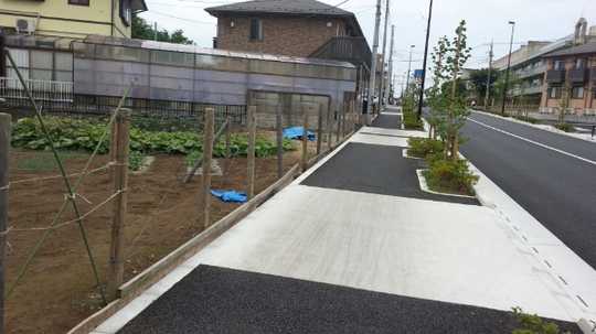 Local land photo. Appearance 1