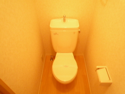 Toilet. Toilet with cleanliness