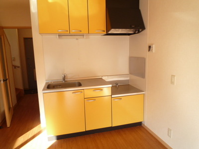 Kitchen. Gas stove installation Allowed