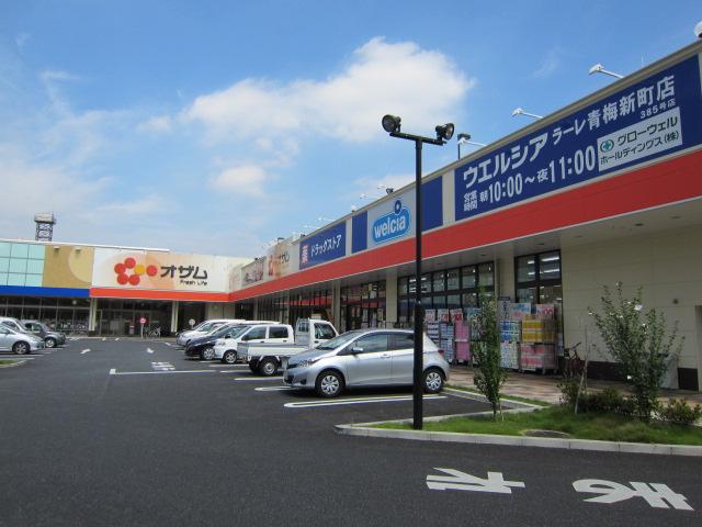 Drug store. 787m until Uerushia pharmacy Centrale Ome Shinmachi shop