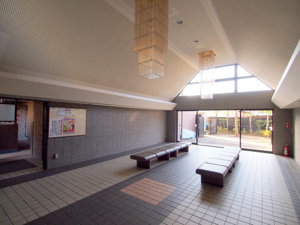 Entrance. Common areas