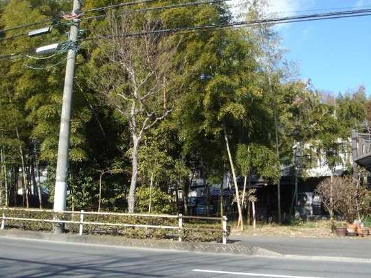 Local land photo. It is taken from the southeast side (1)