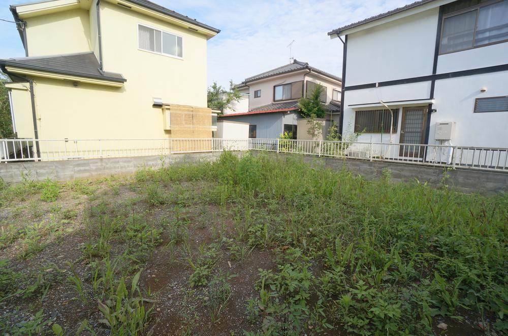 Local land photo. Current state