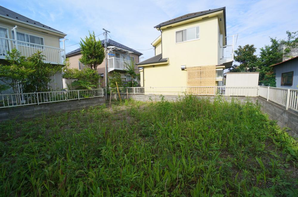 Local land photo. Current state