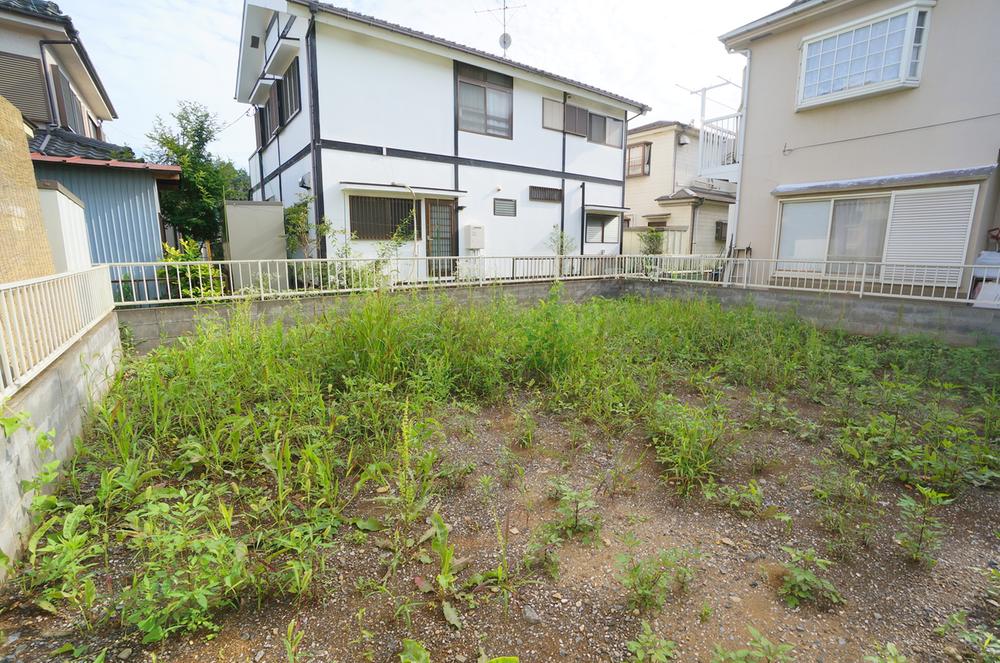 Local land photo. Current state