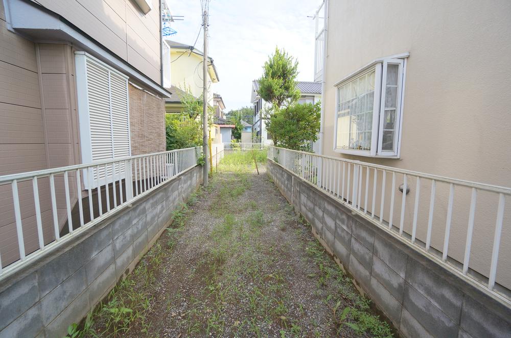 Local land photo. Current state