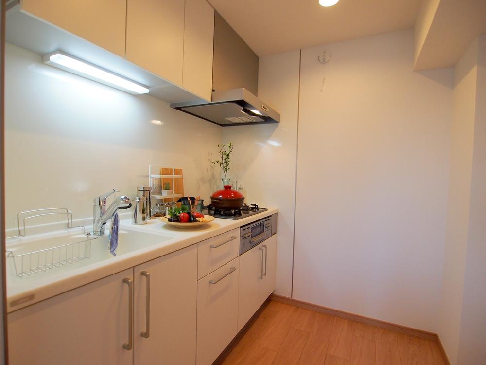 Kitchen. Indoor (11 May 2013) Shooting