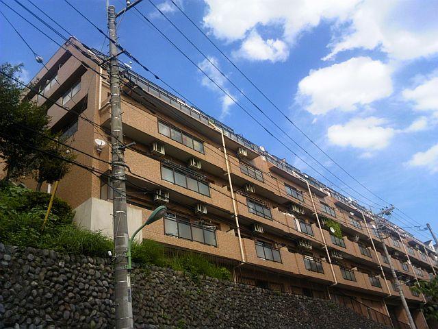 Local appearance photo. Local (11 May 2013) Shooting