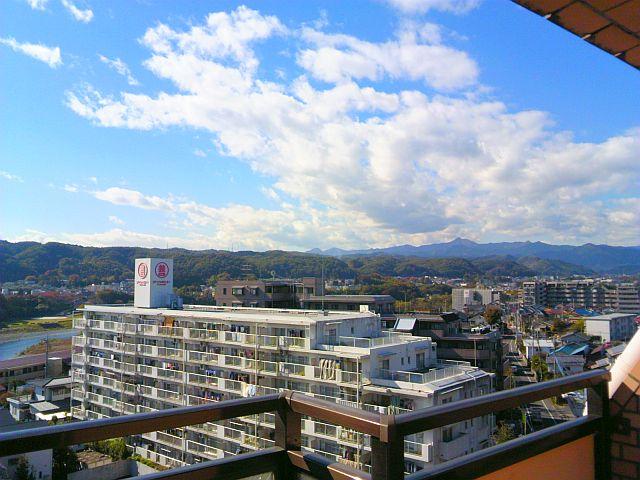 Local appearance photo. Local (11 May 2013) Shooting