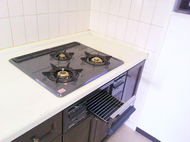 Kitchen. Indoor (11 May 2013) Shooting