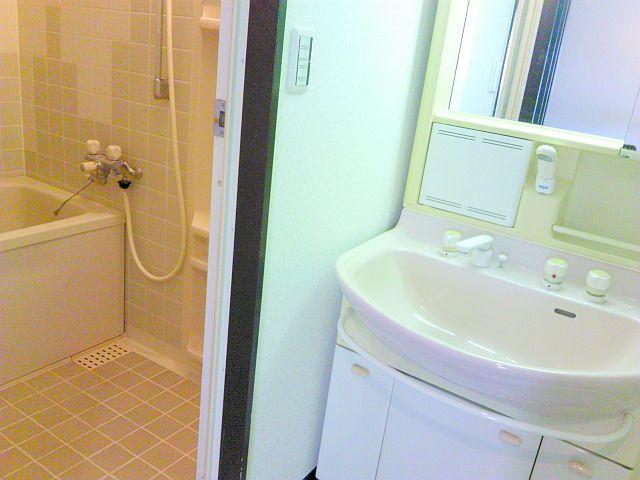 Bathroom. Indoor (11 May 2013) Shooting