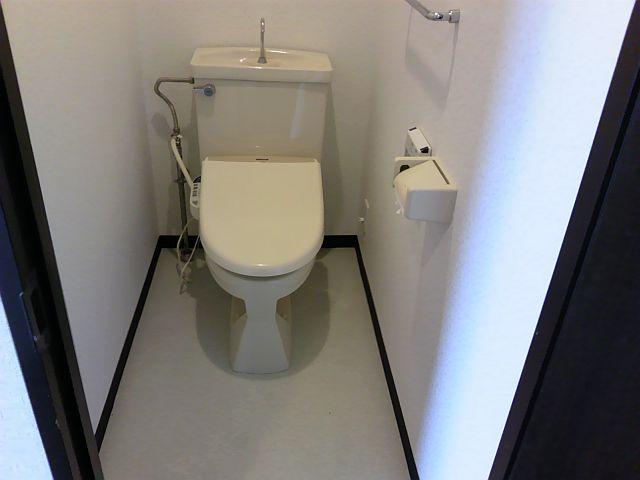 Toilet. Indoor (11 May 2013) Shooting