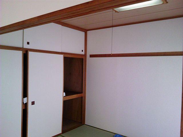 Other introspection. Indoor (11 May 2013) night shooting