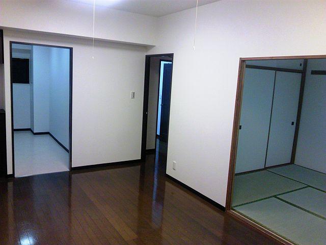 Other introspection. Indoor (11 May 2013) night shooting