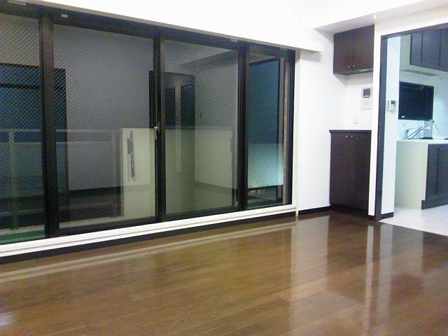 Living. Indoor (11 May 2013) night shooting