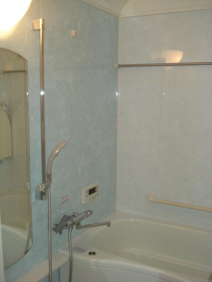 Bathroom. March 2009 exchange already