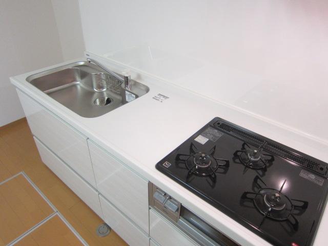 Kitchen. Indoor (11 May 2013) Shooting