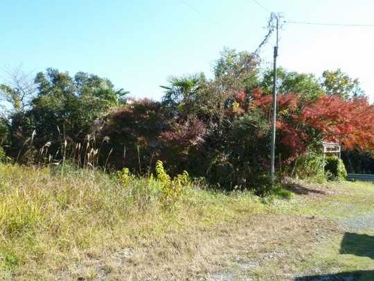 Local land photo. Local Photos