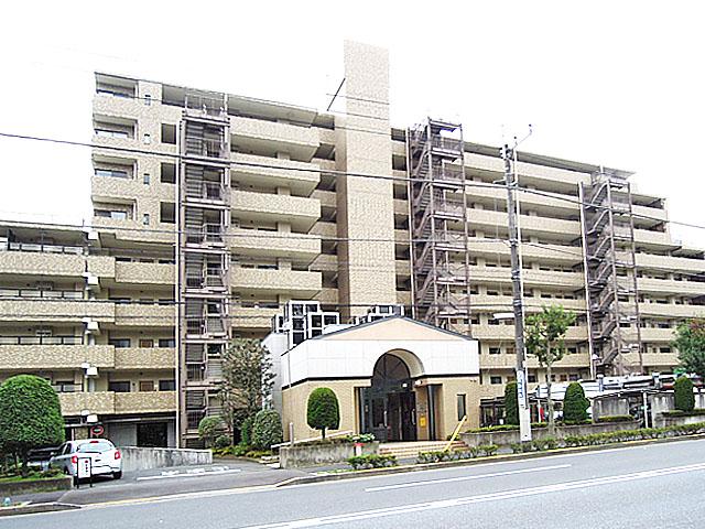 Local appearance photo. Local (11 May 2013) Shooting