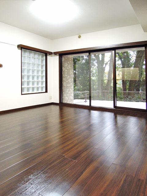 Living. Indoor (11 May 2013) Shooting