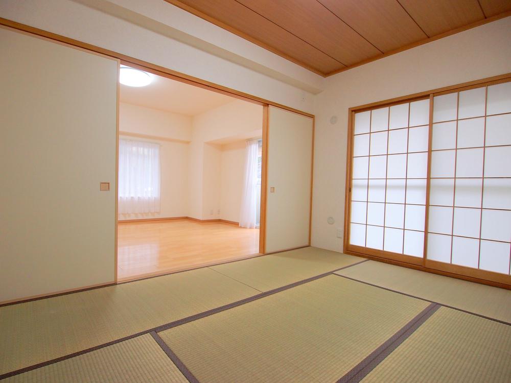 Other introspection. Japanese style room