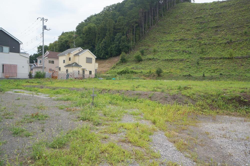 Local land photo. Current state July shooting