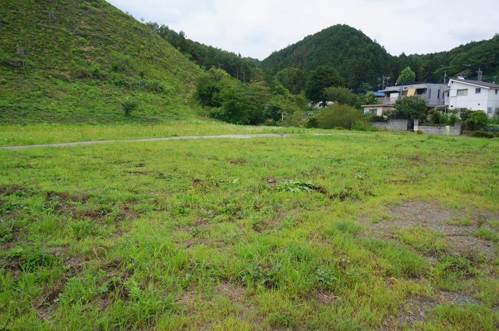 Local land photo. Current state July shooting