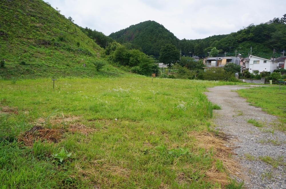 Local land photo. Current state July shooting