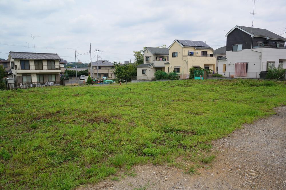 Local land photo. Current state July shooting