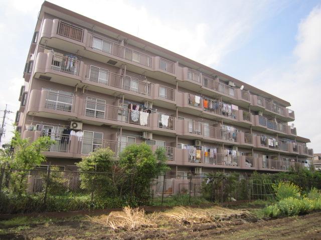 Local appearance photo. Local (10 May 2013) Shooting