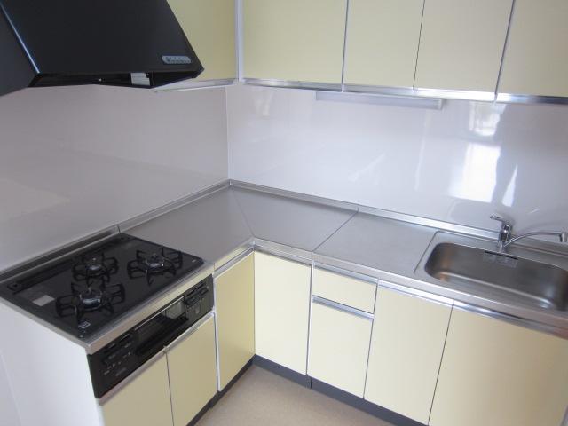 Kitchen. Indoor (12 May 2013) Shooting