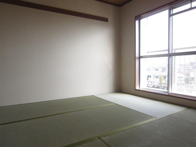 Non-living room. Indoor (12 May 2013) Shooting