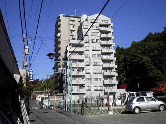 Local appearance photo. Ome Garden Hills appearance